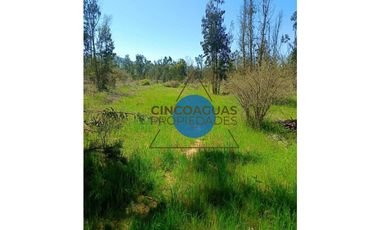 Parcela en Foresta de Zapallar con excelente ubicación