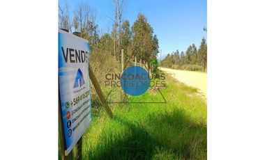 Parcela en Foresta de Zapallar con excelente ubicación