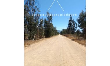 Parcela en Foresta de Zapallar con excelente ubicación