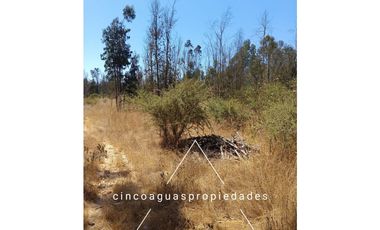 Parcela en Foresta de Zapallar con excelente ubicación