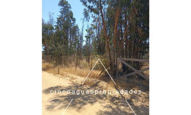 Parcela en Foresta de Zapallar con excelente ubicación