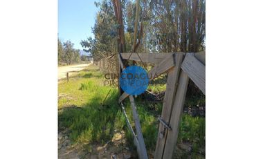 Parcela en Foresta de Zapallar con excelente ubicación