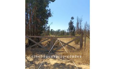 Parcela en Foresta de Zapallar con excelente ubicación