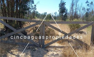 Parcela en Foresta de Zapallar con excelente ubicación