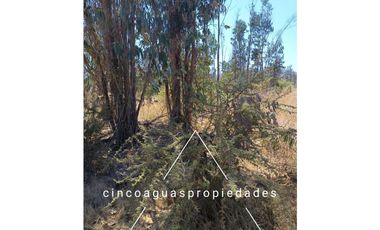 Parcela en Foresta de Zapallar con excelente ubicación