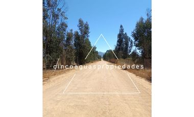 Parcela en Foresta de Zapallar con excelente ubicación
