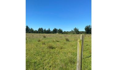 TERRENOS EN FRUTILLAR ALTO