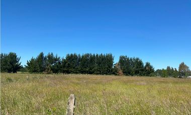 TERRENOS EN FRUTILLAR ALTO