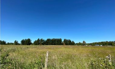 TERRENOS EN FRUTILLAR ALTO