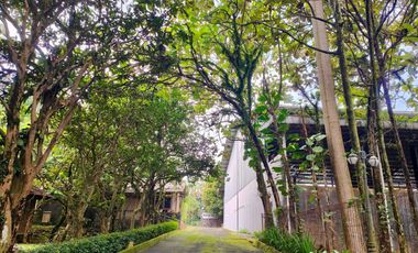 Tanah Dijual di Rancamaya