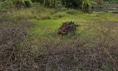 Lahan pertanian 10 HA harga 400 ribu permeter di Sooko, Mojokerto