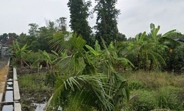 Lahan pertanian 10 HA harga 400 ribu permeter di Sooko, Mojokerto