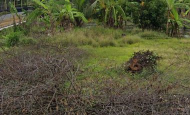 Lahan pertanian 10 HA harga 400 ribu permeter di Sooko, Mojokerto