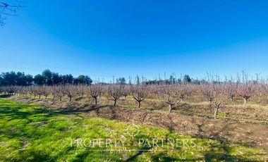 Peralillo, Casa de Campo en Excelente Ubicación