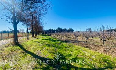 Peralillo, Casa de Campo en Excelente Ubicación