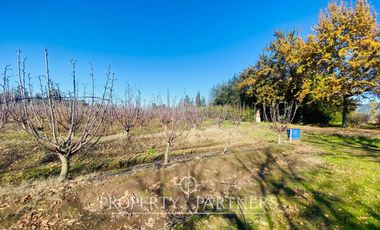Peralillo, Casa de Campo en Excelente Ubicación