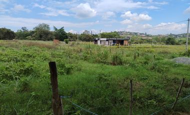 Lote en la Buitrera Palmira