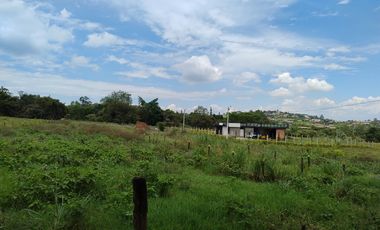 Lote en la Buitrera Palmira