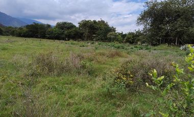 Lote en la Buitrera Palmira