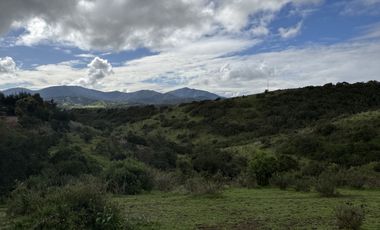 SANTA BERTINA