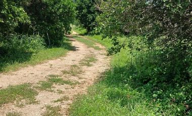 Terreo en venta de 18 hectáreas en Tekat, Mocochá, Yucatán