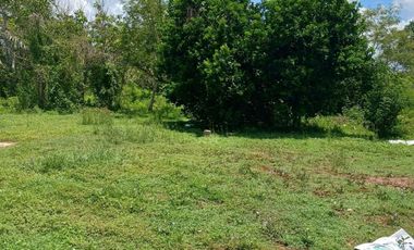 Terreo en venta de 18 hectáreas en Tekat, Mocochá, Yucatán