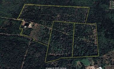 Terreo en venta de 18 hectáreas en Tekat, Mocochá, Yucatán