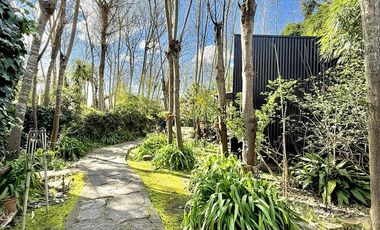 Dos casas en el bosque de Mar de Cobo