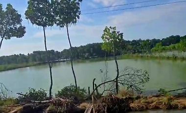 Dijual Tanah Untuk Pergudangan Area Industri Tegal