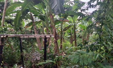 Tanah Luas Lokasi Premium di Tengah Kota di Jalan Timoho Umbulharjo