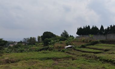 TANAH DI KOLMAS LEGALITAS SHM