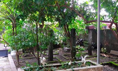 Rumah Hunian Second Nyaman Asri Kadipiro Solo