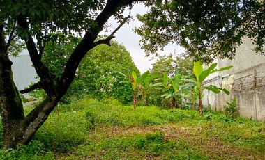 Jual Tanah Murah dibawah NJOP 7.8jt Lokasi Pinggir Tol Desari Sawangan Depok