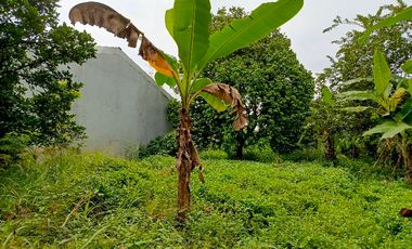 Jual Tanah Murah dibawah NJOP 7.8jt Lokasi Pinggir Tol Desari Sawangan Depok