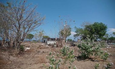 Dijual Tanah Los Pantai di Samota Sumbawa
