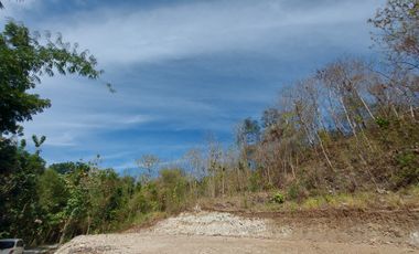 Kavling Ideal SHM – Nuansa Resort Pleret