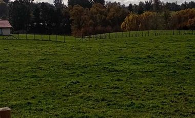 Parcela en venta en OSORNO