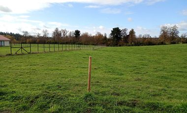 Parcela en venta en OSORNO