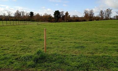 Parcela en venta en OSORNO