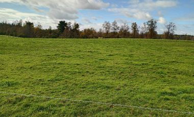 Parcela en venta en OSORNO