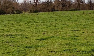 Parcela en venta en OSORNO