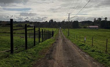 Parcela en venta en OSORNO