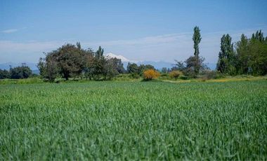 Parcela en venta en ÑIQUÉN