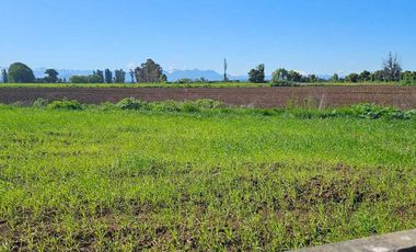 Parcela en venta en ÑIQUÉN