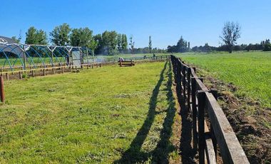 Parcela en venta en ÑIQUÉN