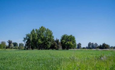 Parcela en venta en ÑIQUÉN