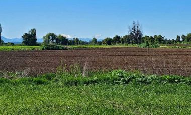 Parcela en venta en ÑIQUÉN