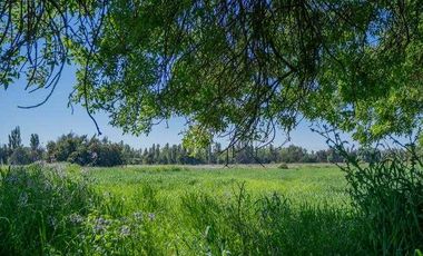 Parcela en venta en ÑIQUÉN