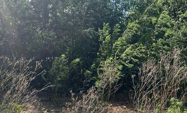 Parcela en venta en SAN PEDRO DE LA PAZ