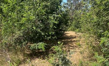 Parcela en venta en SAN PEDRO DE LA PAZ